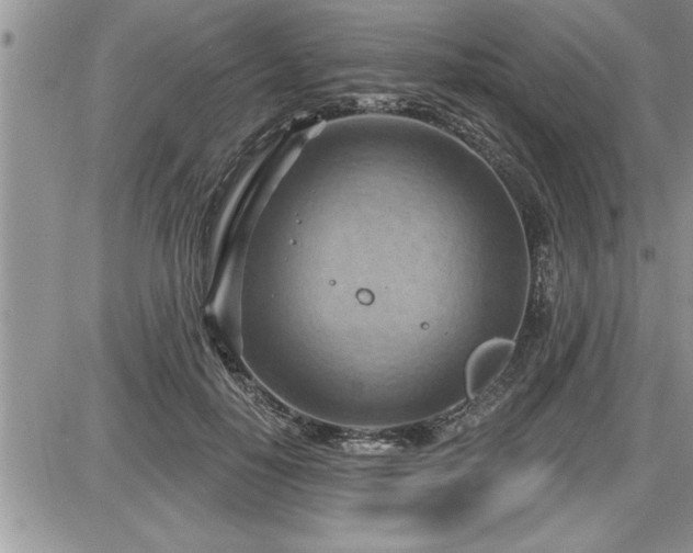 X0000087590650200705041510