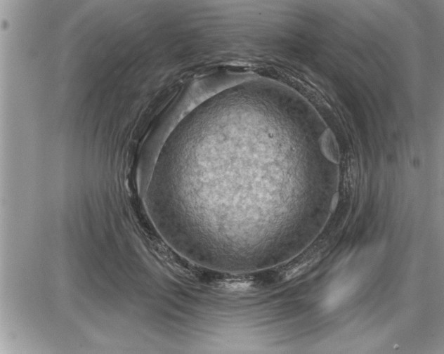 X0000087590651200705041510