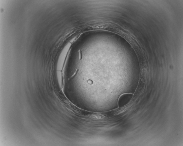 X0000087590652200705041510