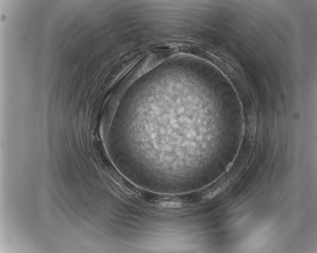 X0000087590653200705041510