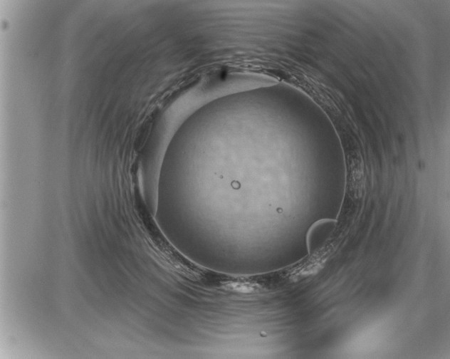 X0000087590654200705041510