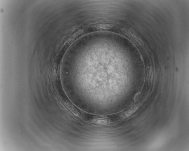 X0000087590655200705041510