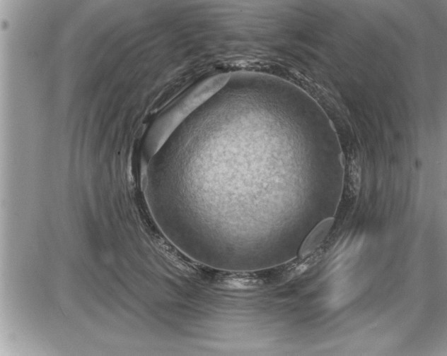 X0000087590657200705041510