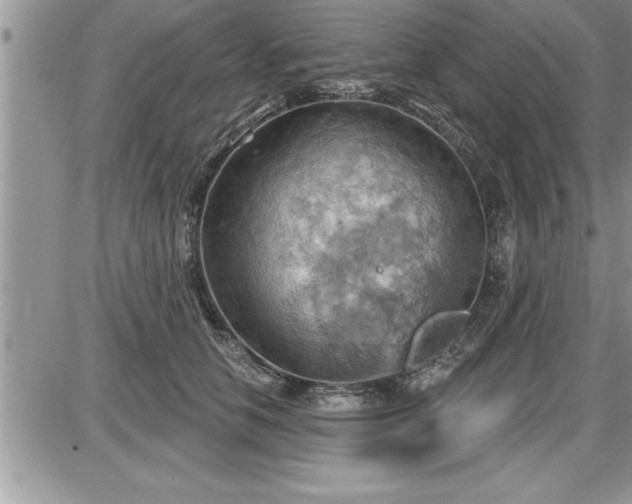 X0000087590658200705041510