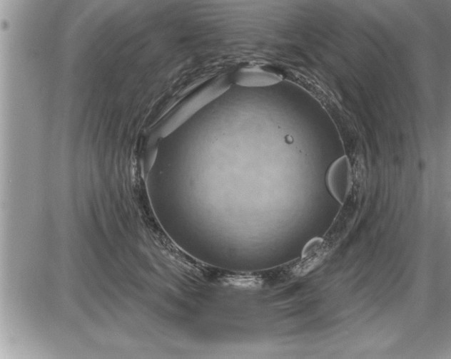 X0000087590659200705041510