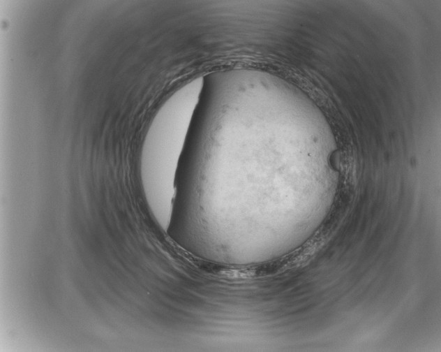 X0000087590660200705041510