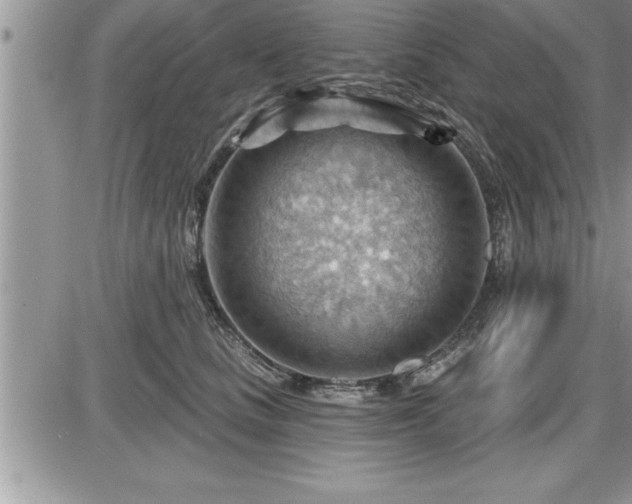 X0000087590661200705041510