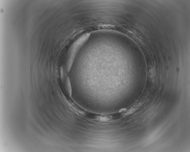 X0000087590662200705041510