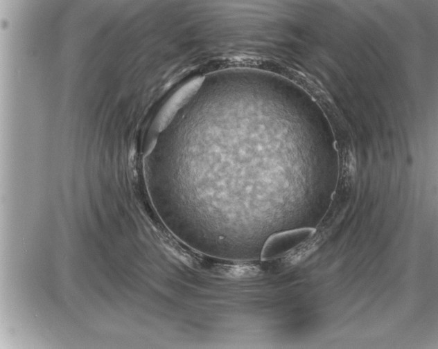 X0000087590663200705041510