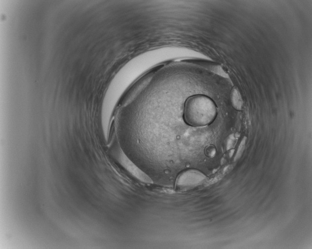 X0000087590664200705041510