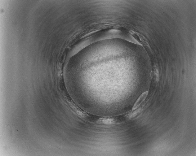 X0000087590665200705041510