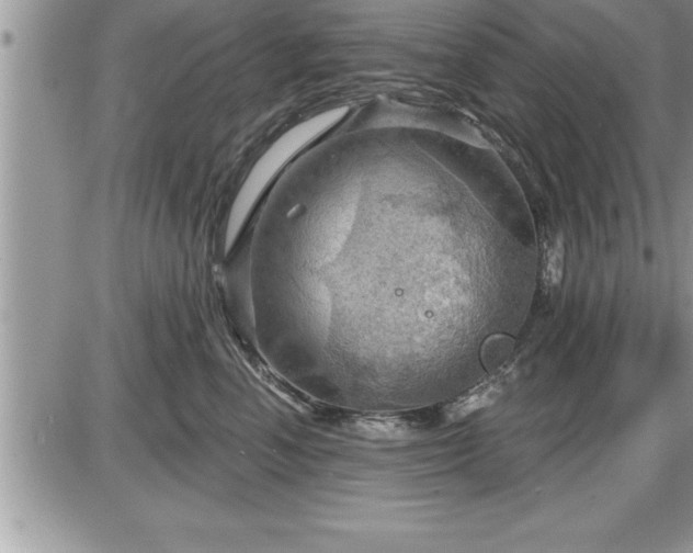 X0000087590666200705041510