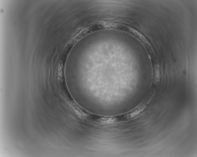 X0000087590667200705041510