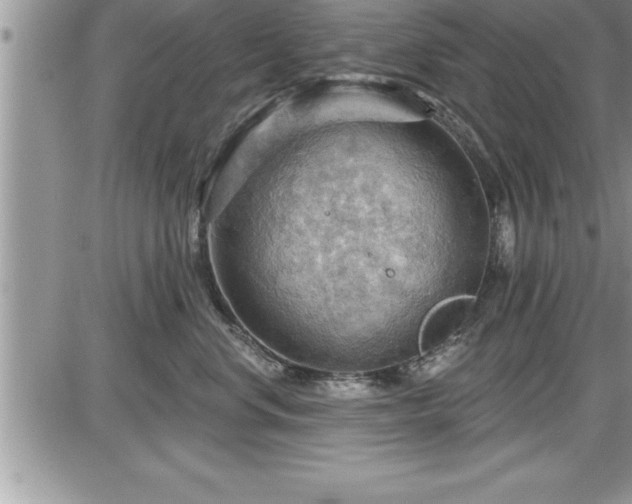 X0000087590668200705041510