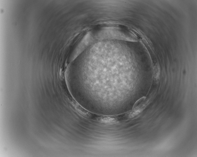 X0000087590669200705041510