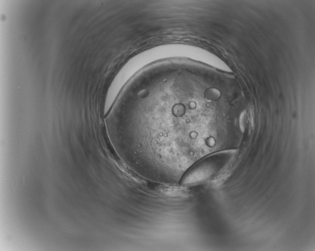 X0000087590670200705041510