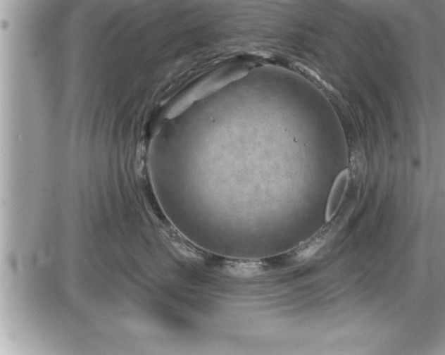 X0000087590671200705041510