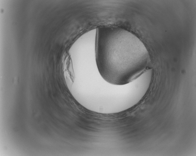 X0000087590672200705041510