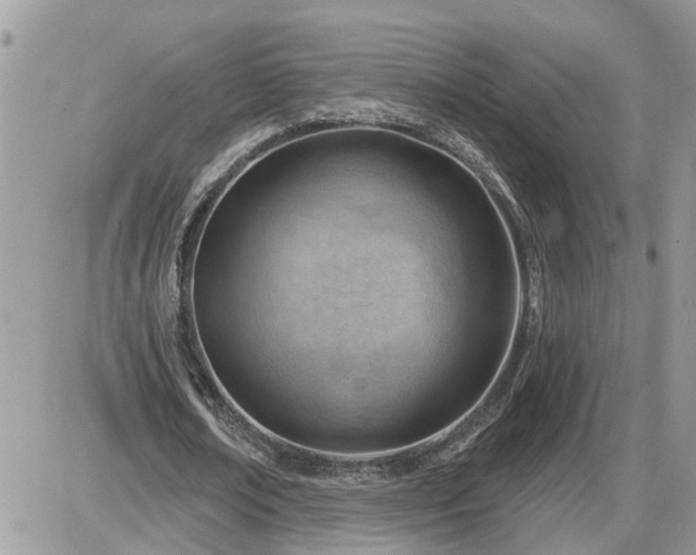 X0000087590674200705041509