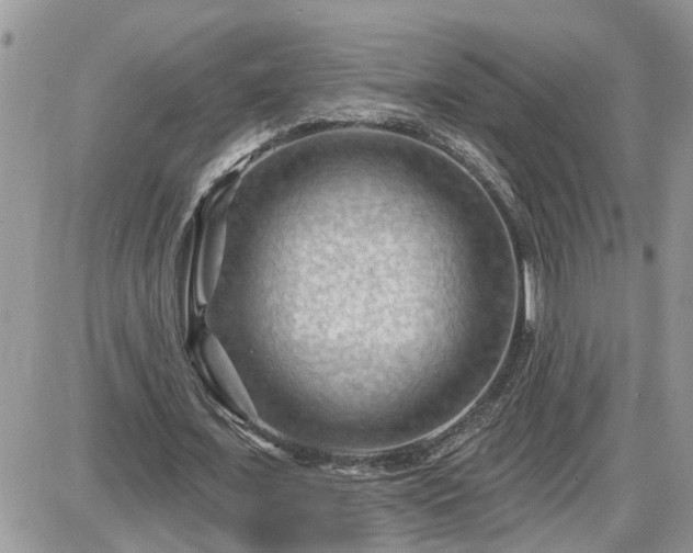 X0000087590675200705041509