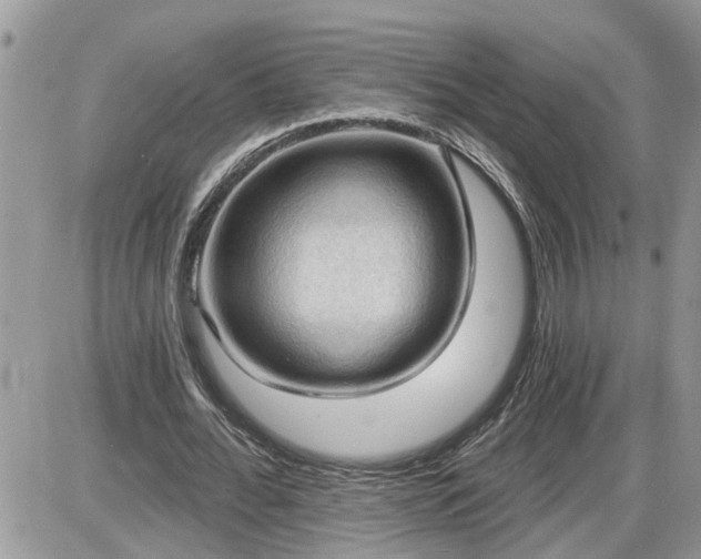 X0000087590676200705041509