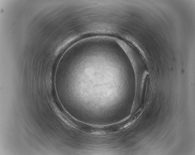 X0000087590677200705041509