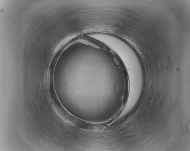 X0000087590678200705041509