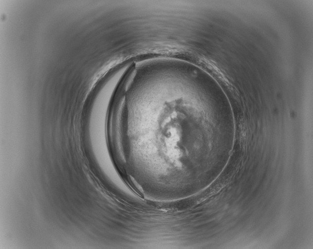 X0000087590679200705041509