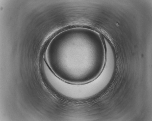 X0000087590680200705041509