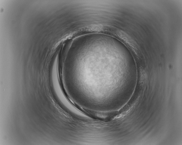 X0000087590681200705041509