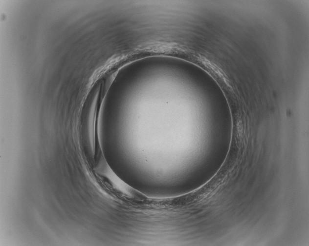 X0000087590682200705041509