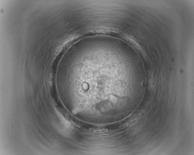 X0000087590683200705041509