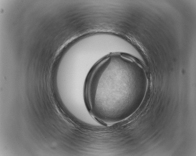 X0000087590684200705041509