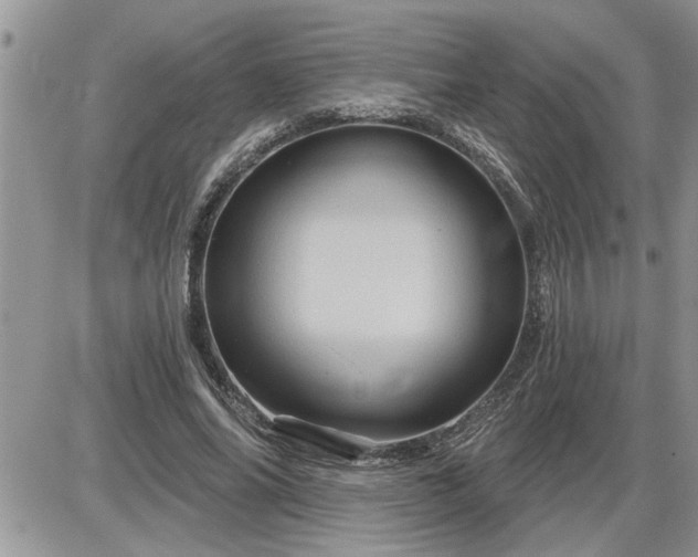 X0000087590686200705041509