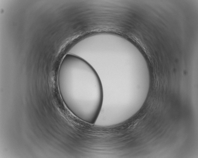 X0000087590688200705041509