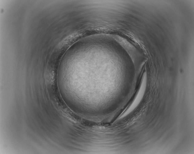 X0000087590689200705041509