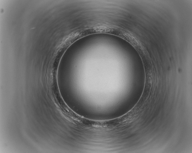 X0000087590690200705041509