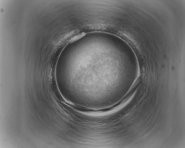 X0000087590692200705041509