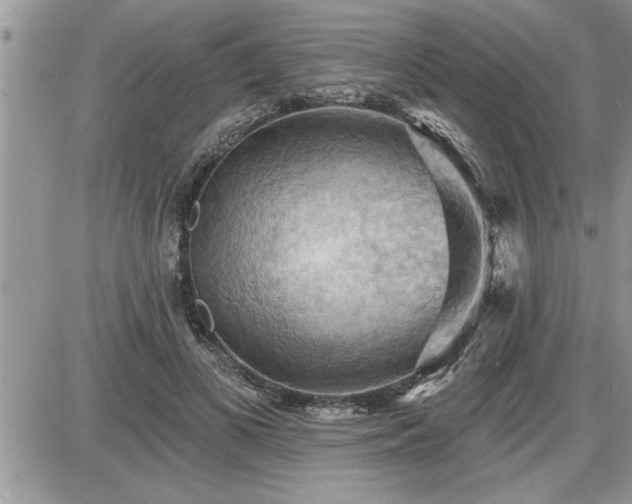 X0000087590693200705041509