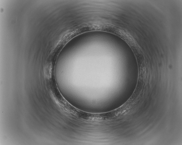 X0000087590694200705041509