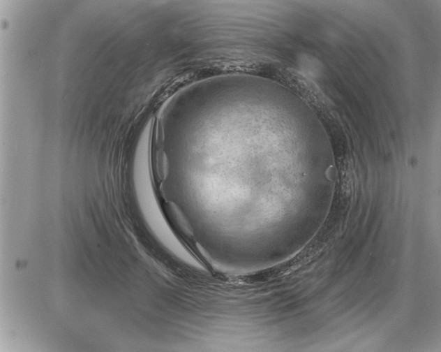 X0000087590695200705041509