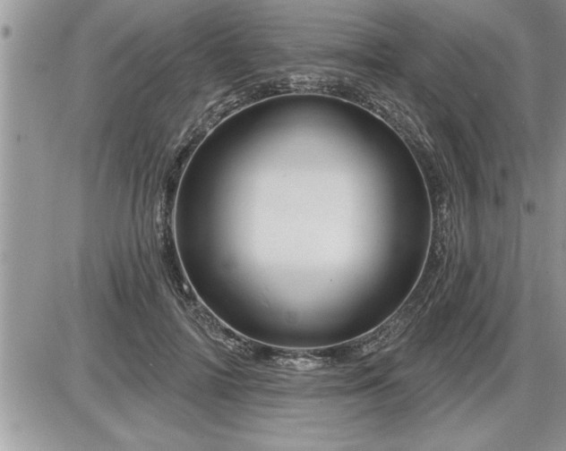 X0000087590698200705041509