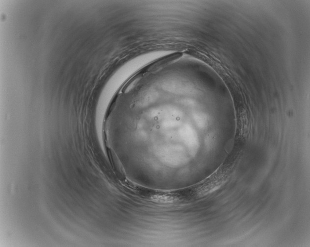 X0000087590699200705041509