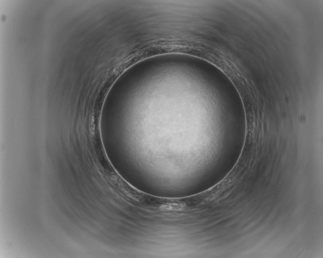 X0000087590700200705041509