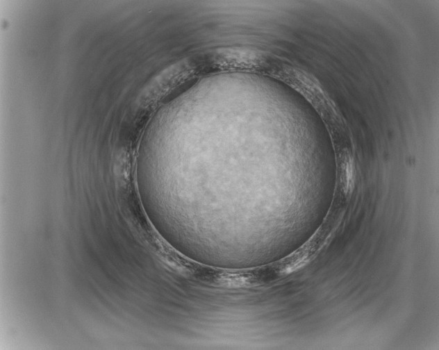 X0000087590701200705041509