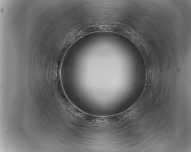 X0000087590702200705041509