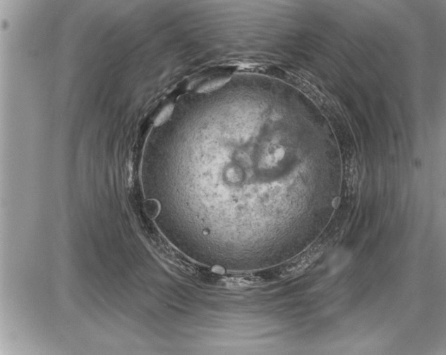 X0000087590703200705041509