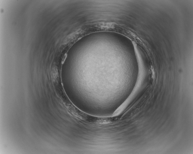 X0000087590704200705041509