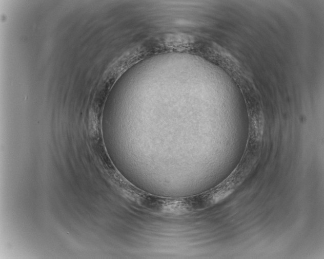 X0000087590705200705041509