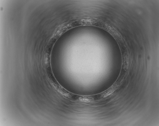 X0000087590706200705041509